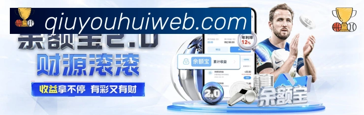 未来规划